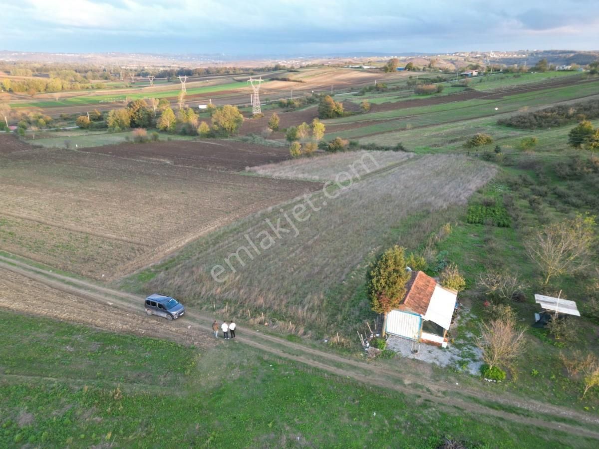 Kaynarca Da Müstakil Ev Yapımına Uygun 6445 M² Fırsat Arazi - Görsel 9