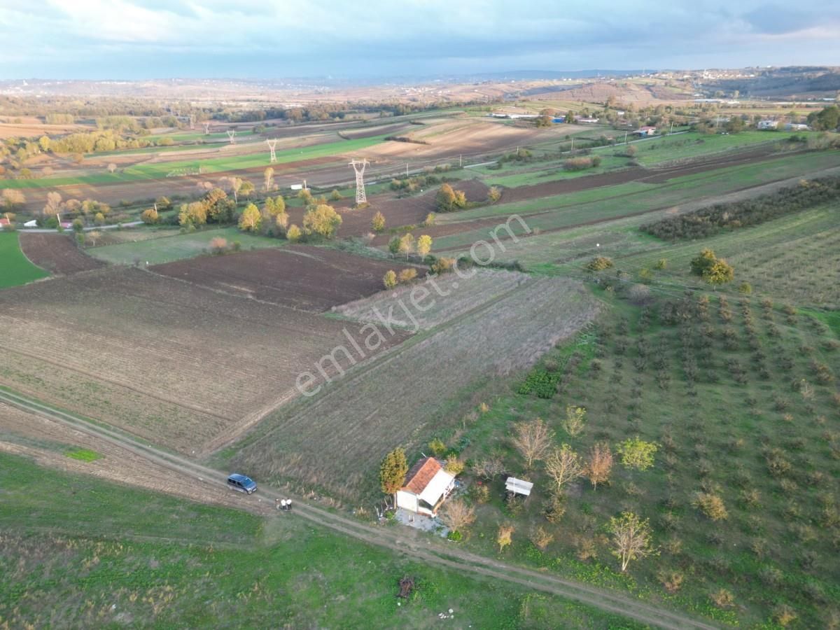 Kaynarca Da Müstakil Ev Yapımına Uygun 6445 M² Fırsat Arazi - Görsel 8