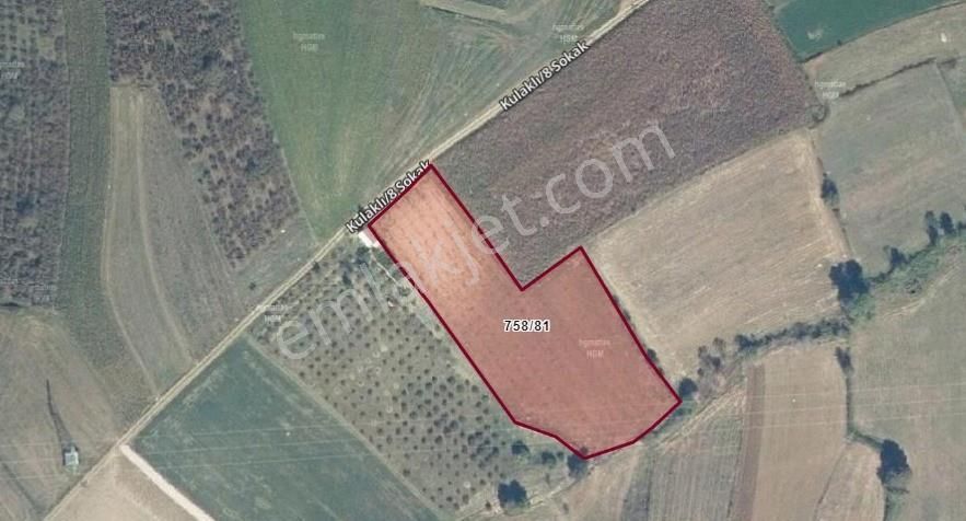 Kaynarca Da Müstakil Ev Yapımına Uygun 6445 M² Fırsat Arazi - Görsel 23