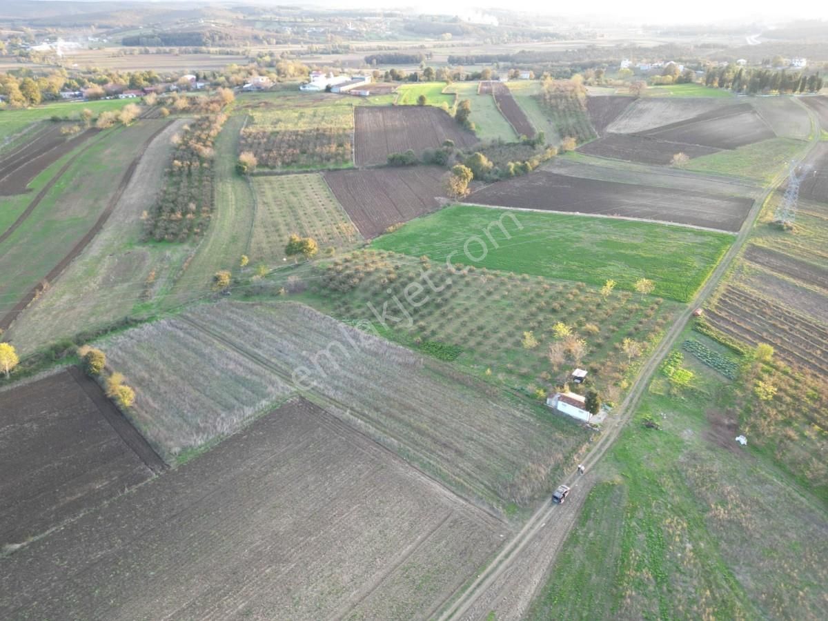 Kaynarca Da Müstakil Ev Yapımına Uygun 6445 M² Fırsat Arazi - Görsel 30
