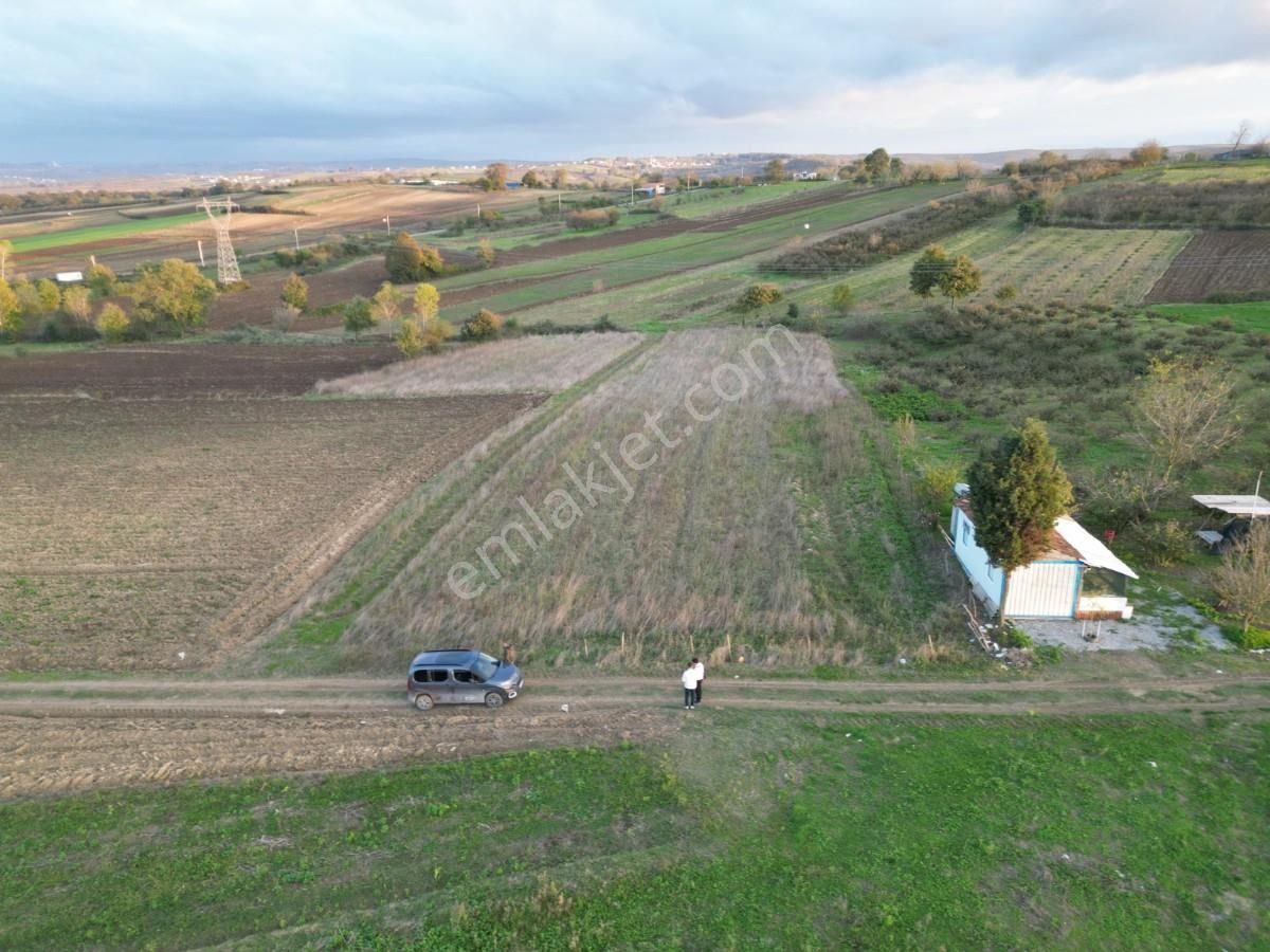 Kaynarca Da Müstakil Ev Yapımına Uygun 6445 M² Fırsat Arazi - Görsel 12