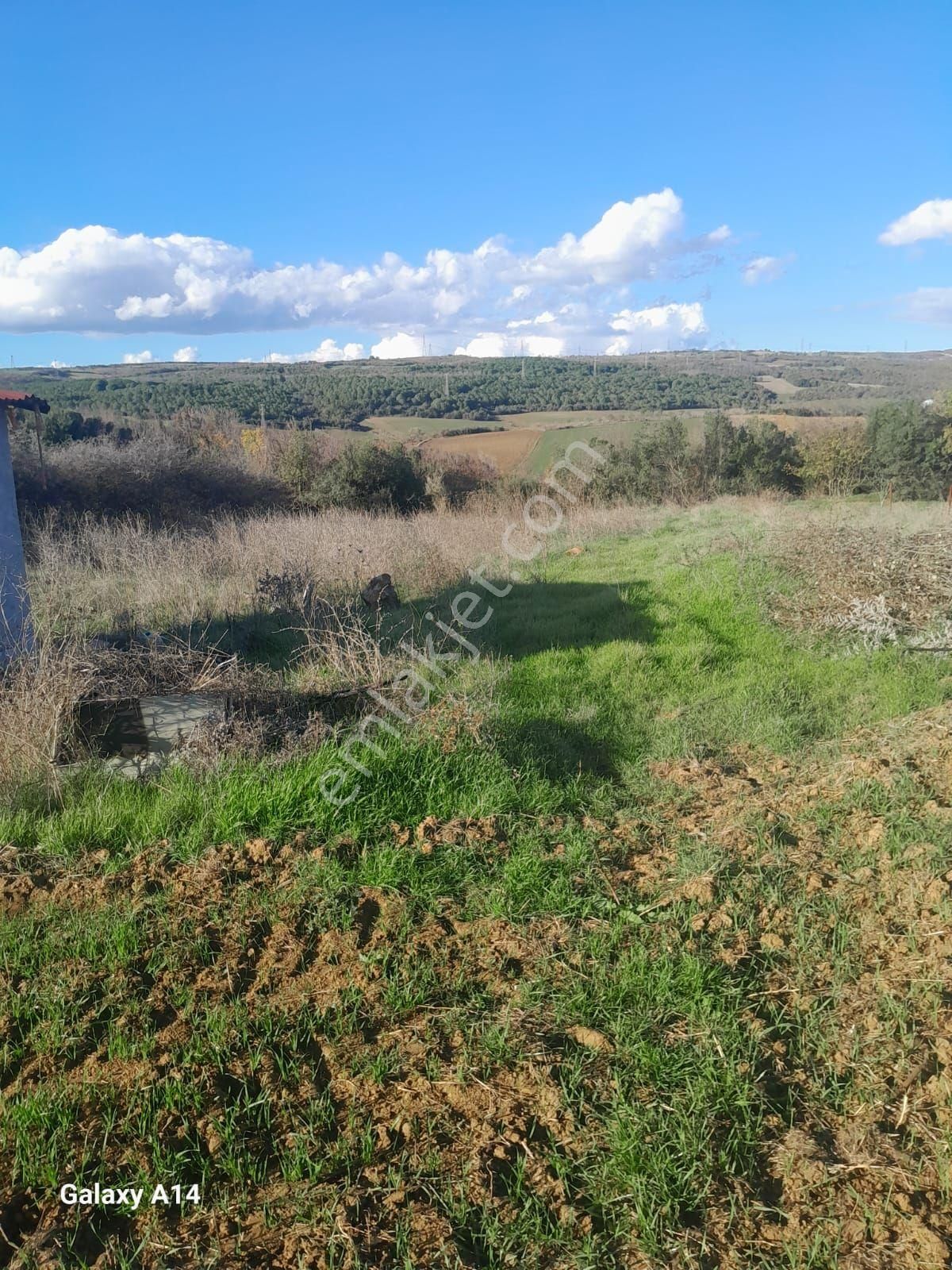 Bilge Emlak'tan Müstakil Tapu Bağ Evi - Görsel 8