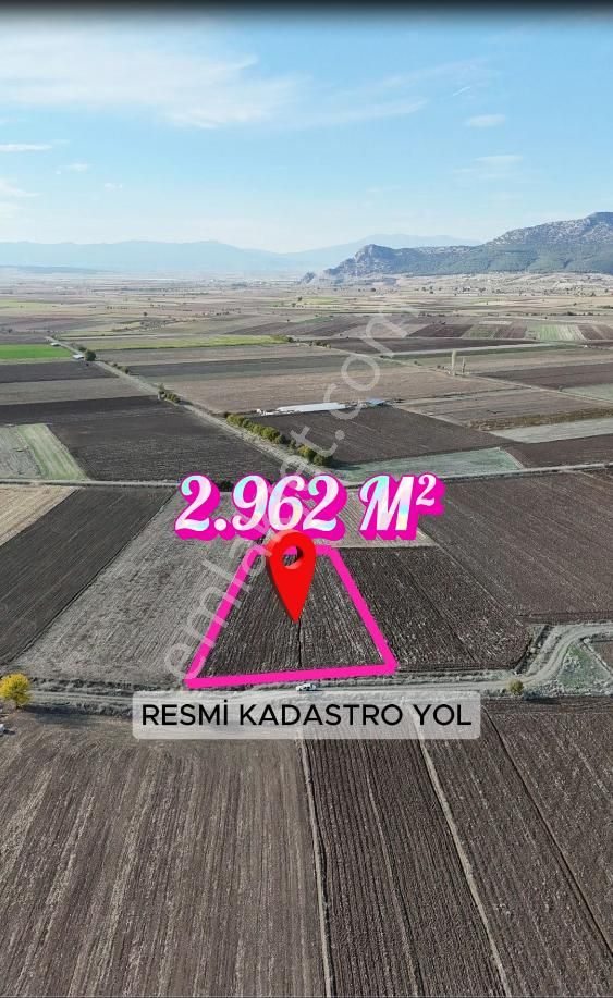 Şahin Emlaktan Denizli Acıpayam Gümüş Mah.satılık 2.962 M² Tarla - Görsel 6