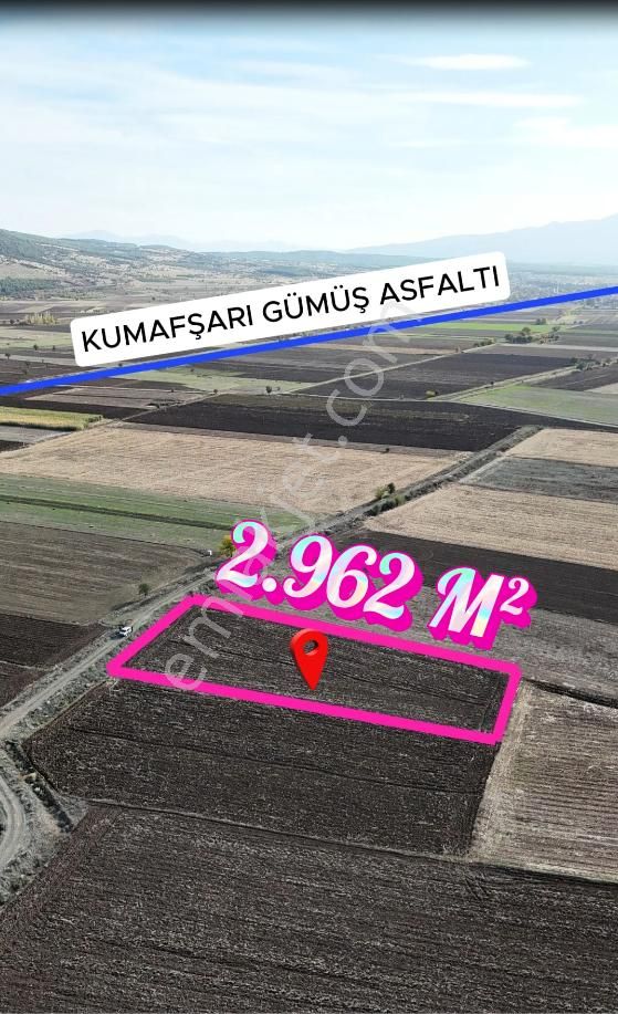 Şahin Emlaktan Denizli Acıpayam Gümüş Mah.satılık 2.962 M² Tarla - Görsel 3