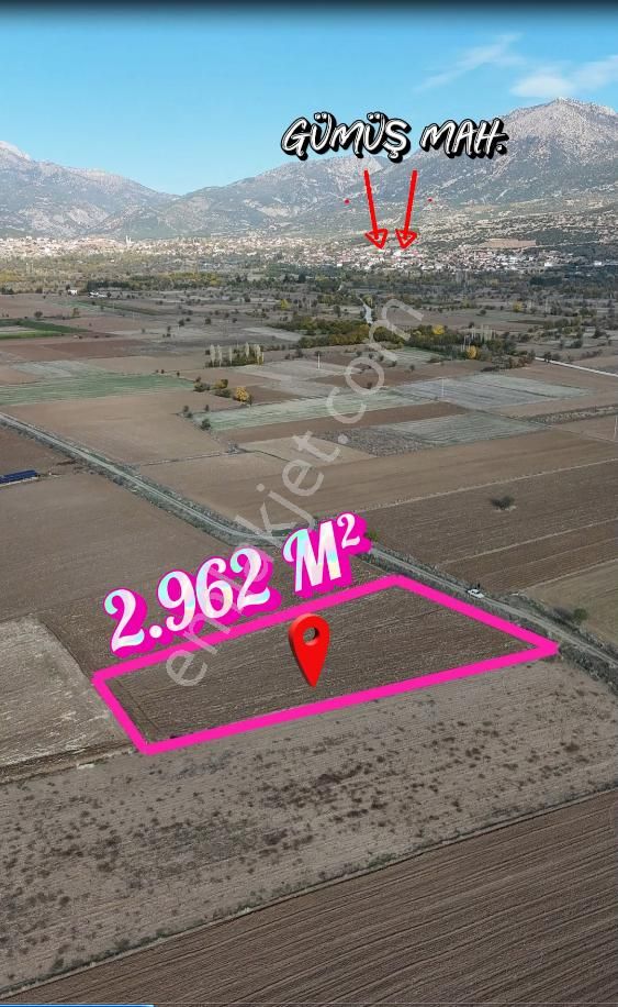 Şahin Emlaktan Denizli Acıpayam Gümüş Mah.satılık 2.962 M² Tarla - Görsel 5