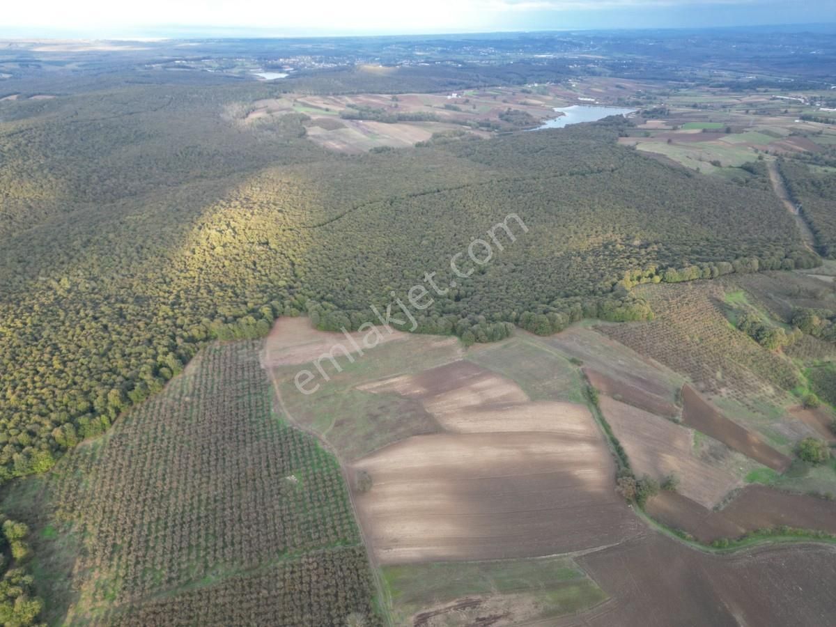 Kaynarca Kayacık Ta Çiftlik Yapımına Uygun 19.736 M² Arazi - Görsel 16