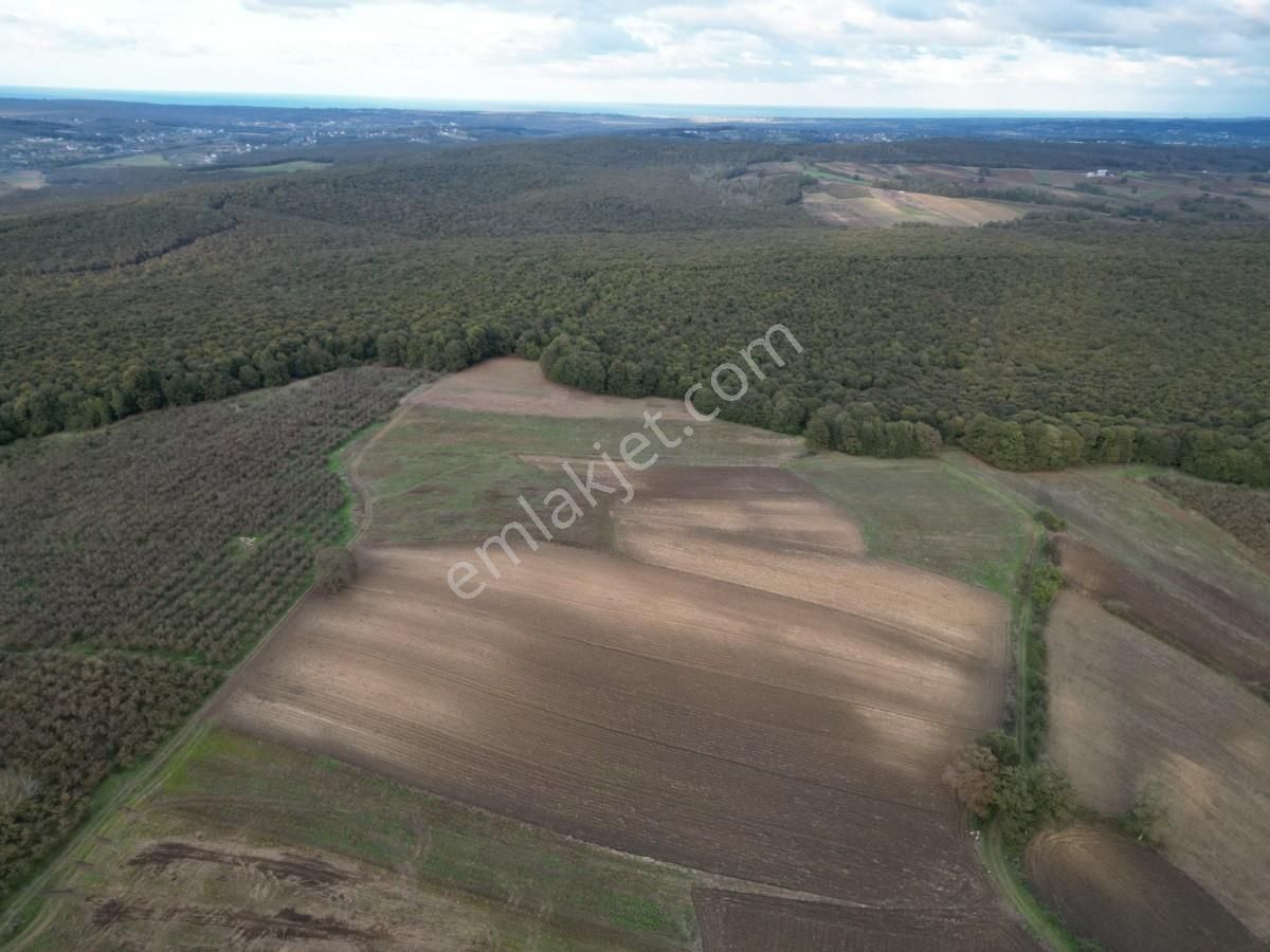 Kaynarca Kayacık Ta Çiftlik Yapımına Uygun 19.736 M² Arazi - Görsel 24