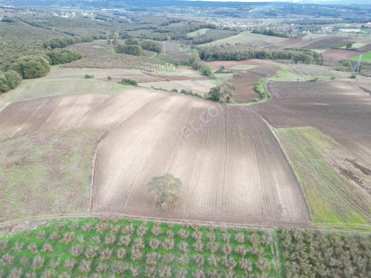 Kaynarca Kayacık Ta Çiftlik Yapımına Uygun 19.736 M² Arazi - Görsel 3