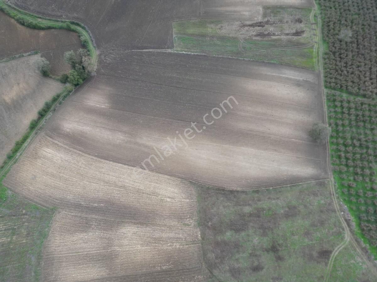 Kaynarca Kayacık Ta Çiftlik Yapımına Uygun 19.736 M² Arazi - Görsel 27