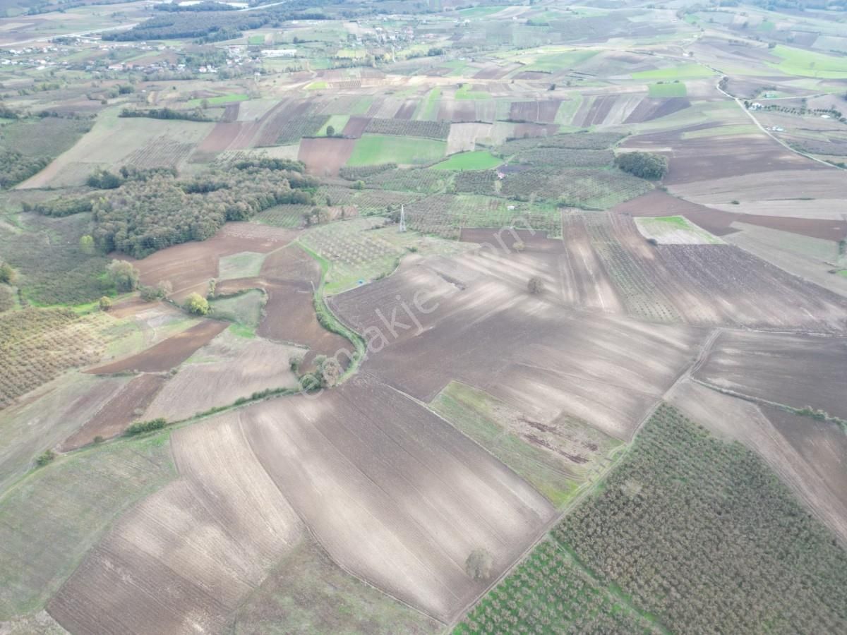 Kaynarca Kayacık Ta Çiftlik Yapımına Uygun 19.736 M² Arazi - Görsel 11