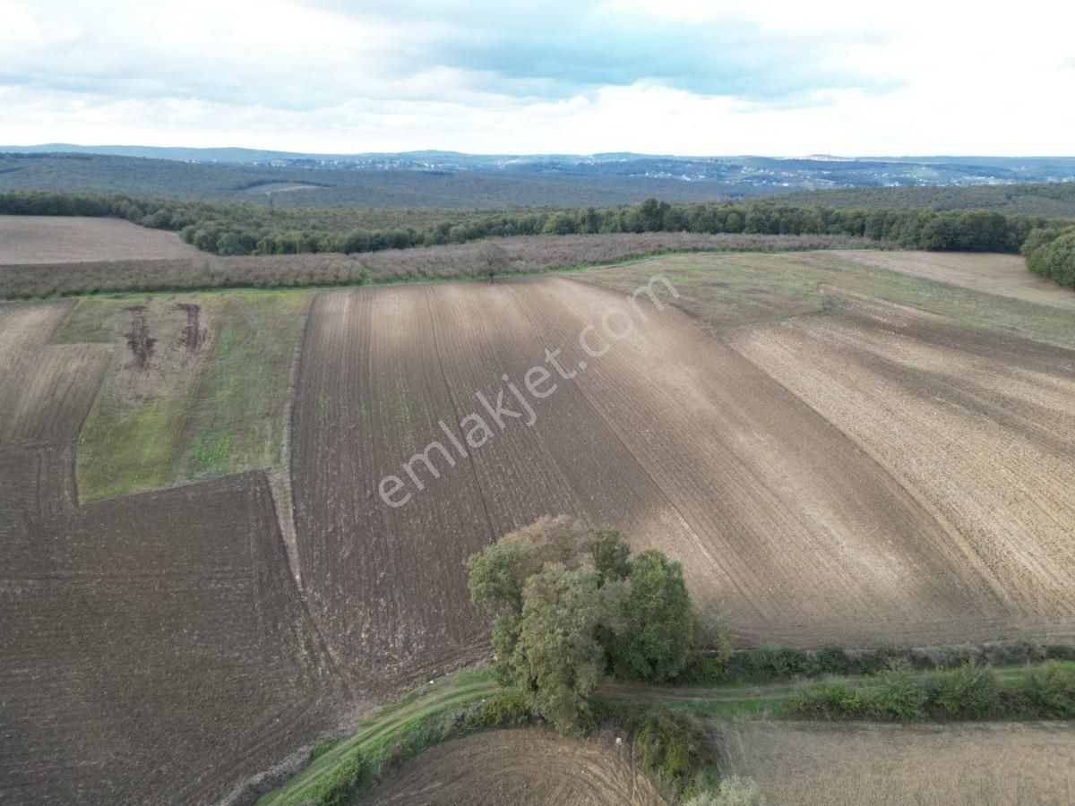 Kaynarca Kayacık Ta Çiftlik Yapımına Uygun 19.736 M² Arazi - Görsel 8