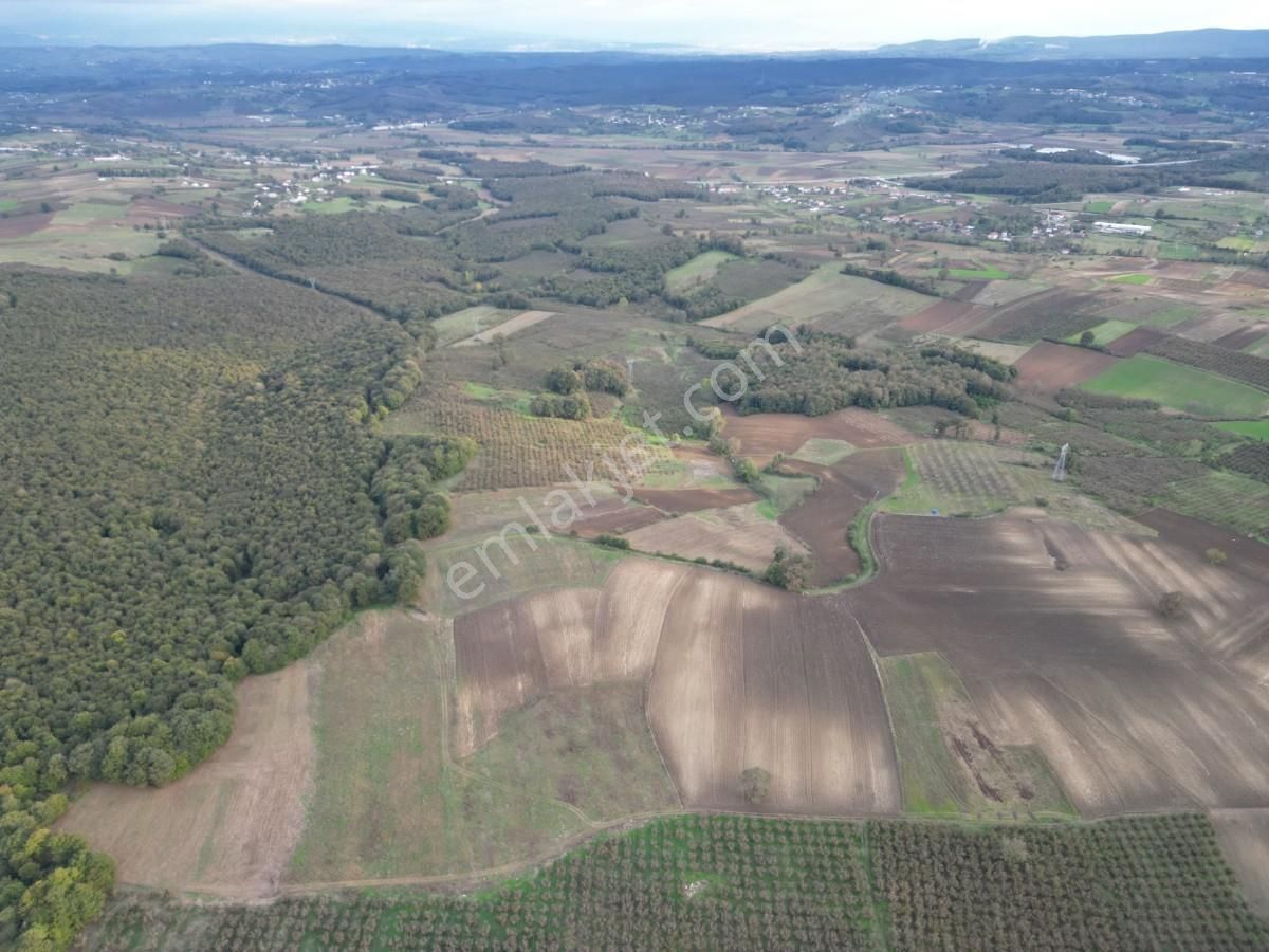 Kaynarca Kayacık Ta Çiftlik Yapımına Uygun 19.736 M² Arazi - Görsel 12