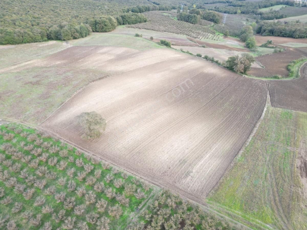 Kaynarca Kayacık Ta Çiftlik Yapımına Uygun 19.736 M² Arazi - Görsel 4