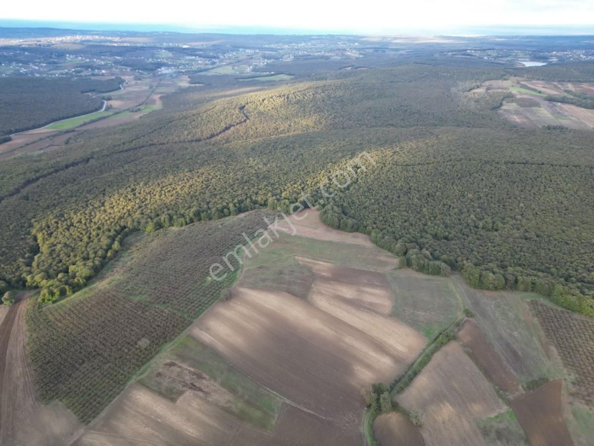 Kaynarca Kayacık Ta Çiftlik Yapımına Uygun 19.736 M² Arazi - Görsel 17