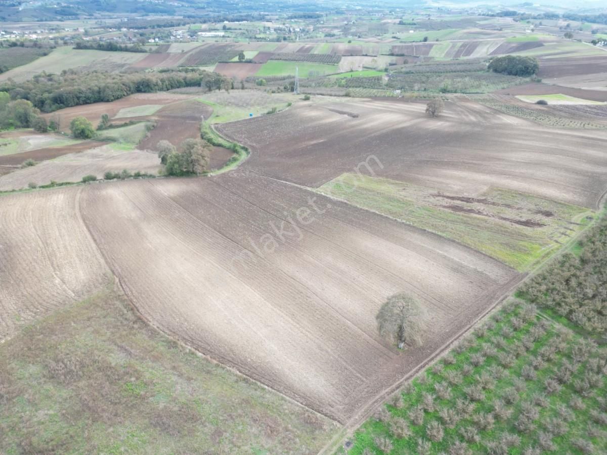 Kaynarca Kayacık Ta Çiftlik Yapımına Uygun 19.736 M² Arazi - Görsel 2