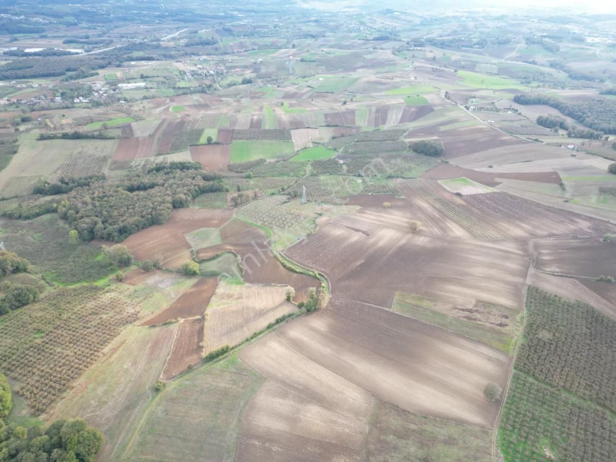 Kaynarca Kayacık Ta Çiftlik Yapımına Uygun 19.736 M² Arazi - Görsel 22