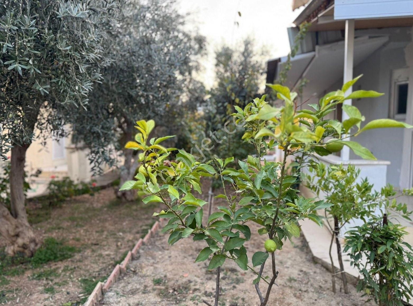 Alanya Okurcalar Mah.denize 400 Mt.satılık 2+1 Villa - Görsel 6