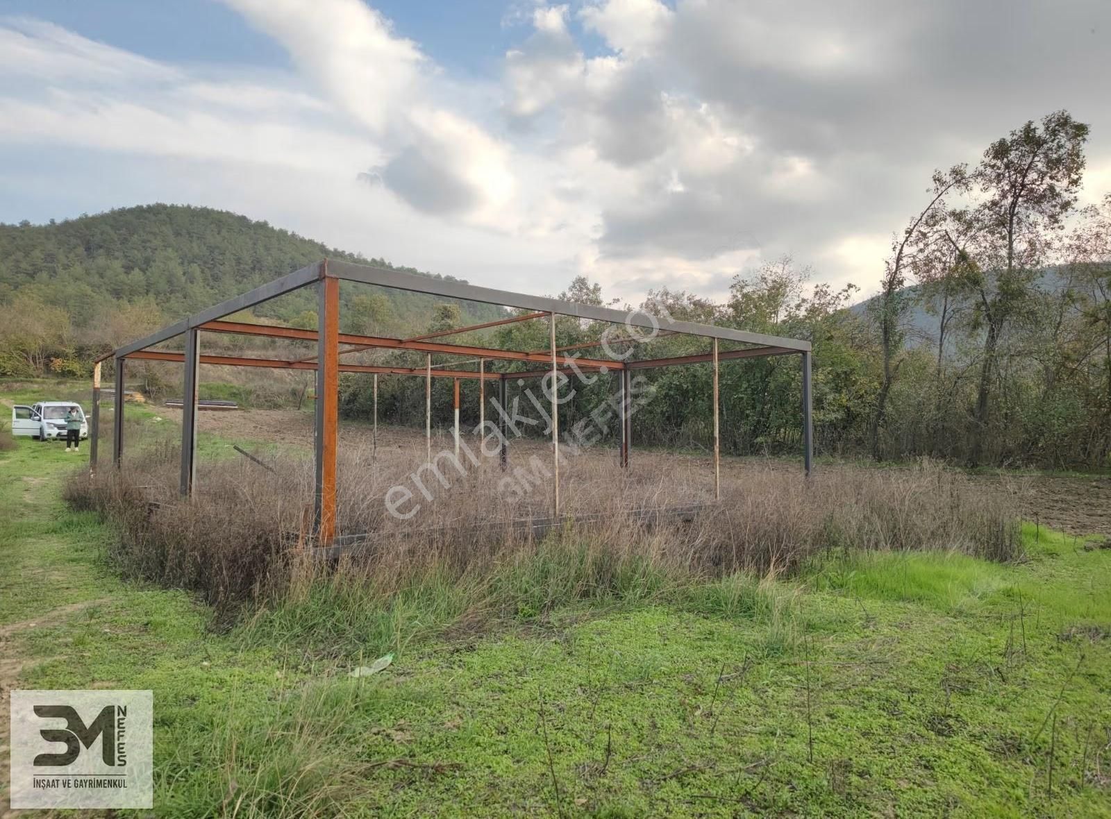 Sakarya Taraklı Ulucami Asfalta Sıfır 931 M2 Uygun Fırsat Bahçe