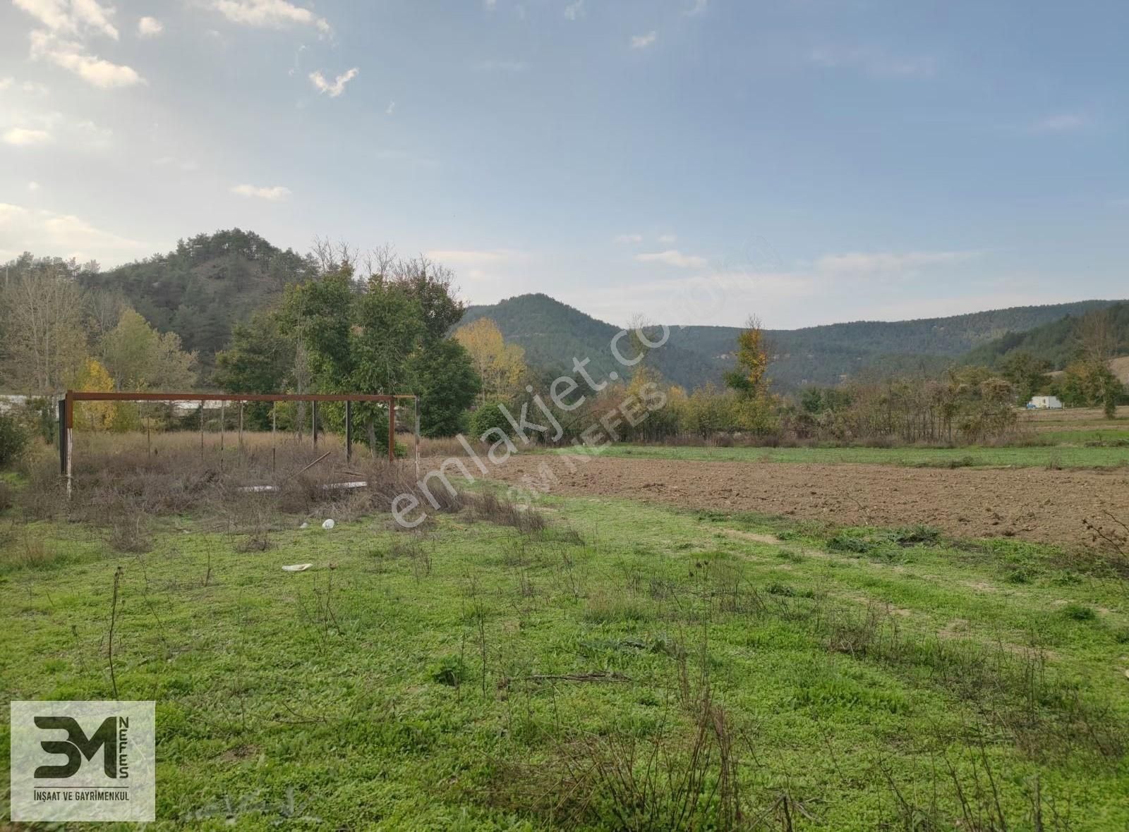 Sakarya Taraklı Ulucami Asfalta Sıfır 931 M2 Uygun Fırsat Bahçe - Görsel 12