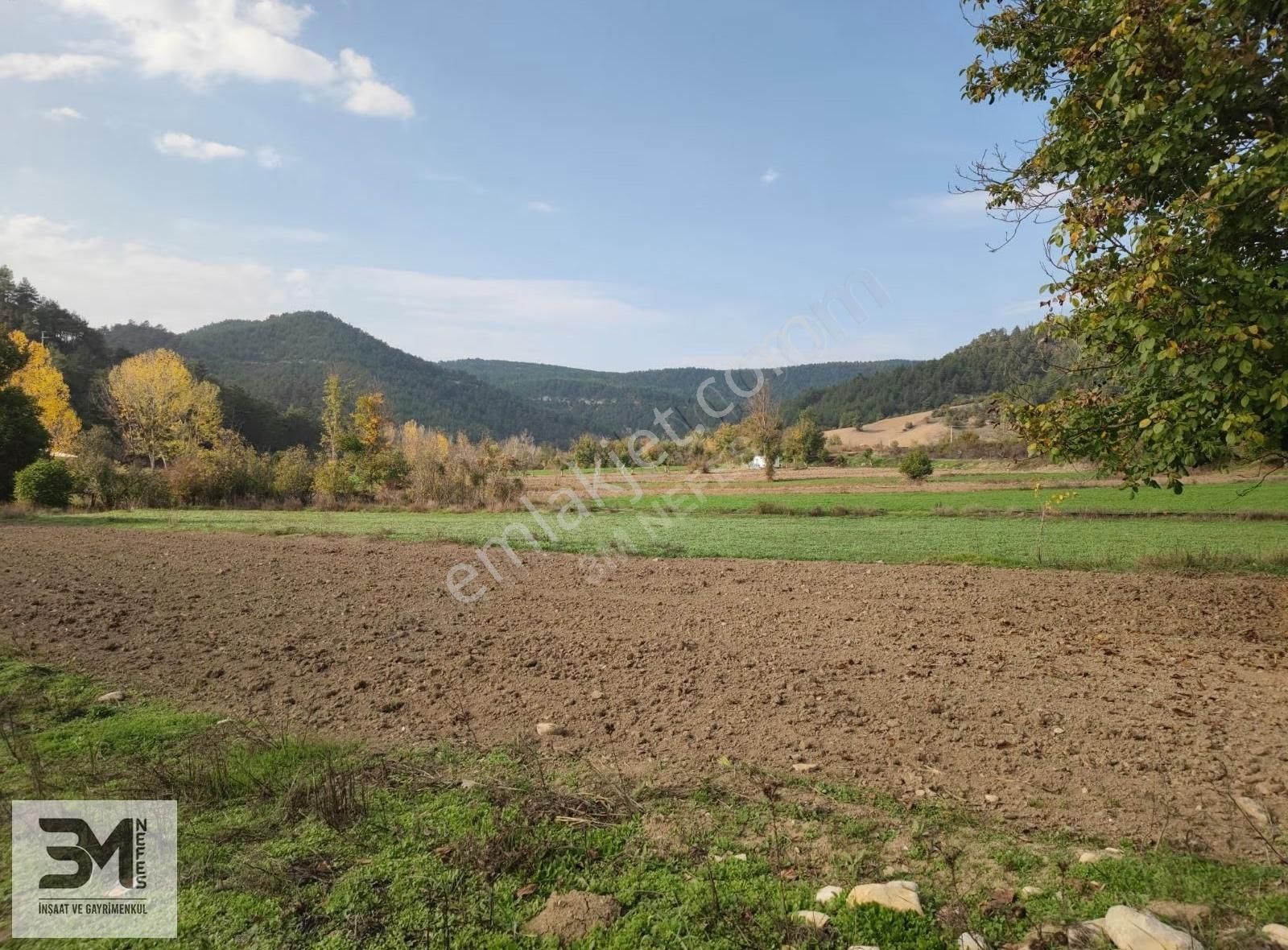 Sakarya Taraklı Ulucami Asfalta Sıfır 931 M2 Uygun Fırsat Bahçe - Görsel 16