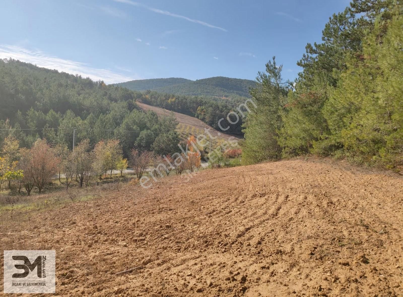 Sakarya Geyve 2857m2 Asfalta Cephe Karışık Meyve Bahçesi Fırsat - Görsel 15