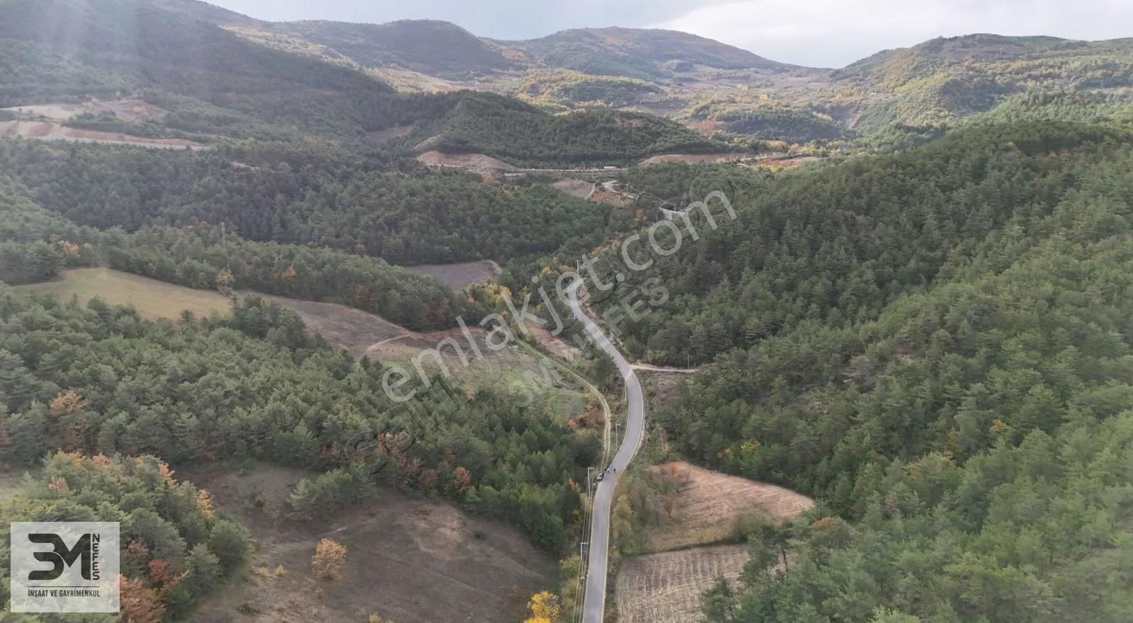 Sakarya Geyve 2857m2 Asfalta Cephe Karışık Meyve Bahçesi Fırsat - Görsel 27