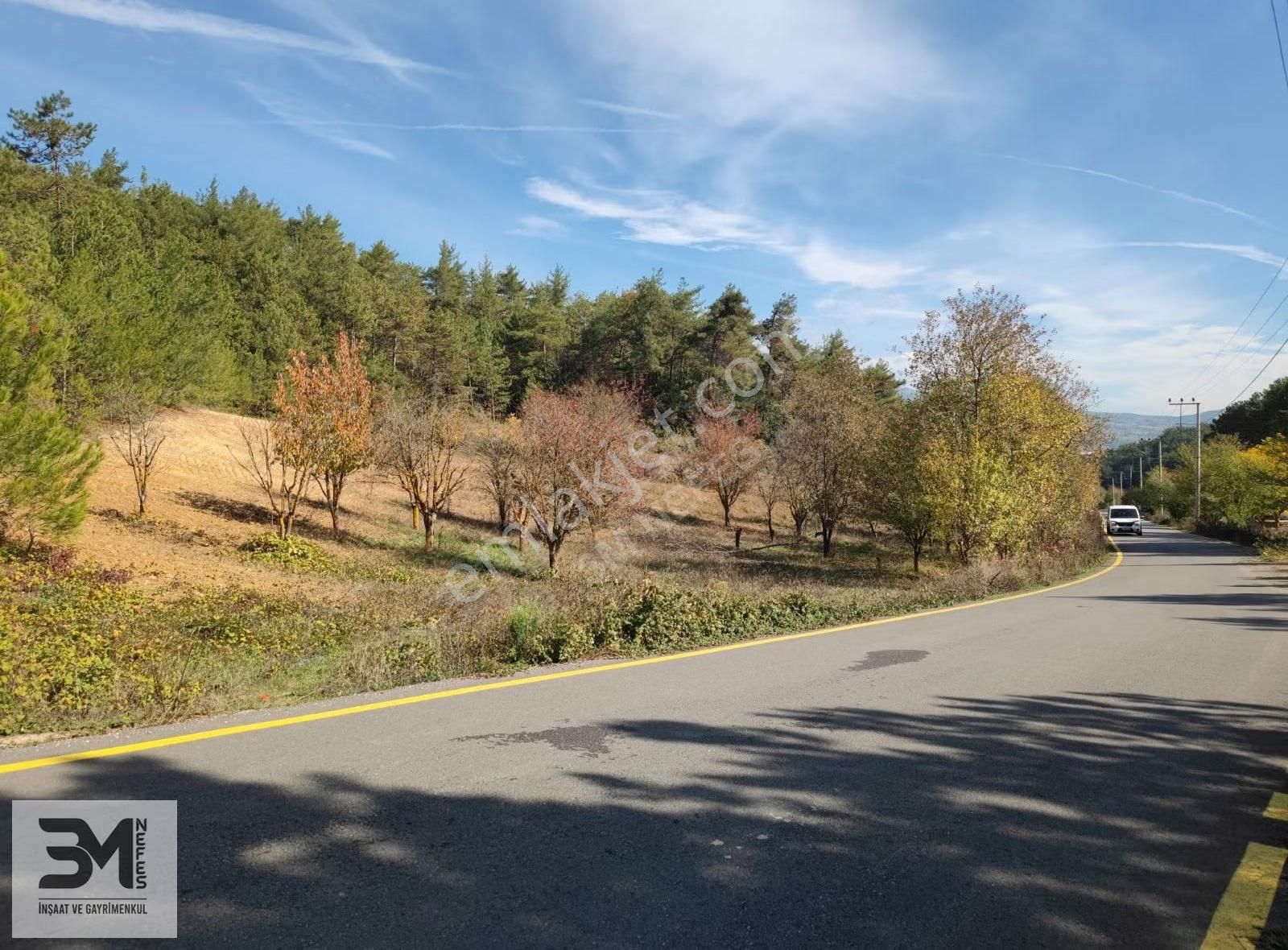 Sakarya Geyve 2857m2 Asfalta Cephe Karışık Meyve Bahçesi Fırsat - Görsel 18