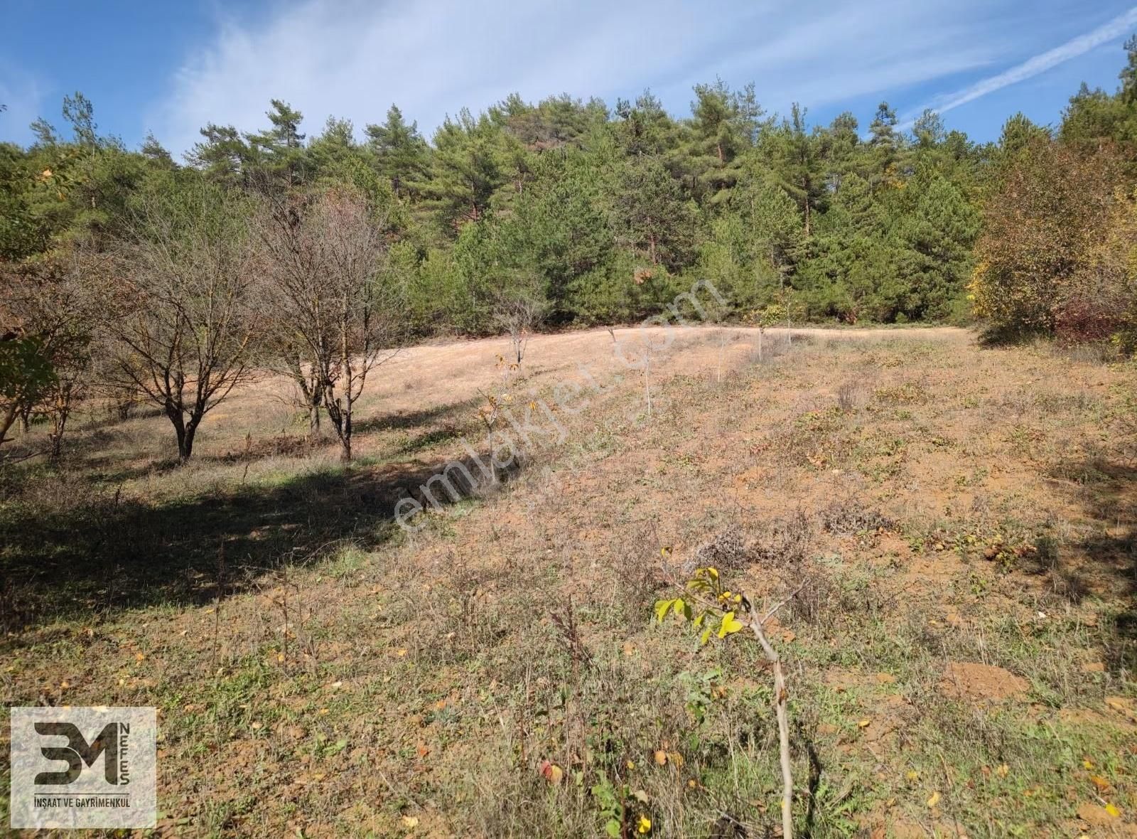 Sakarya Geyve 2857m2 Asfalta Cephe Karışık Meyve Bahçesi Fırsat - Görsel 14