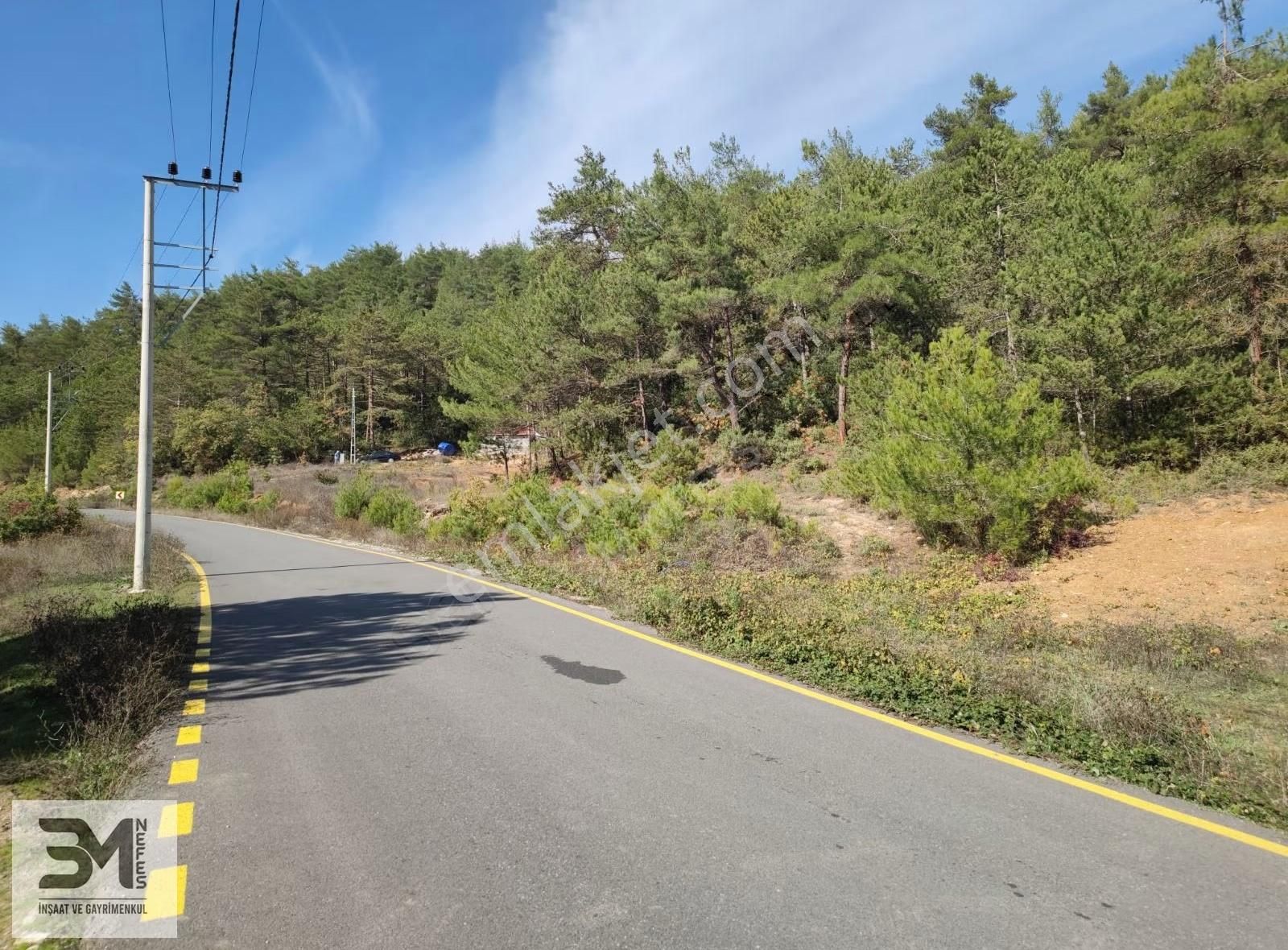 Sakarya Geyve 2857m2 Asfalta Cephe Karışık Meyve Bahçesi Fırsat - Görsel 19