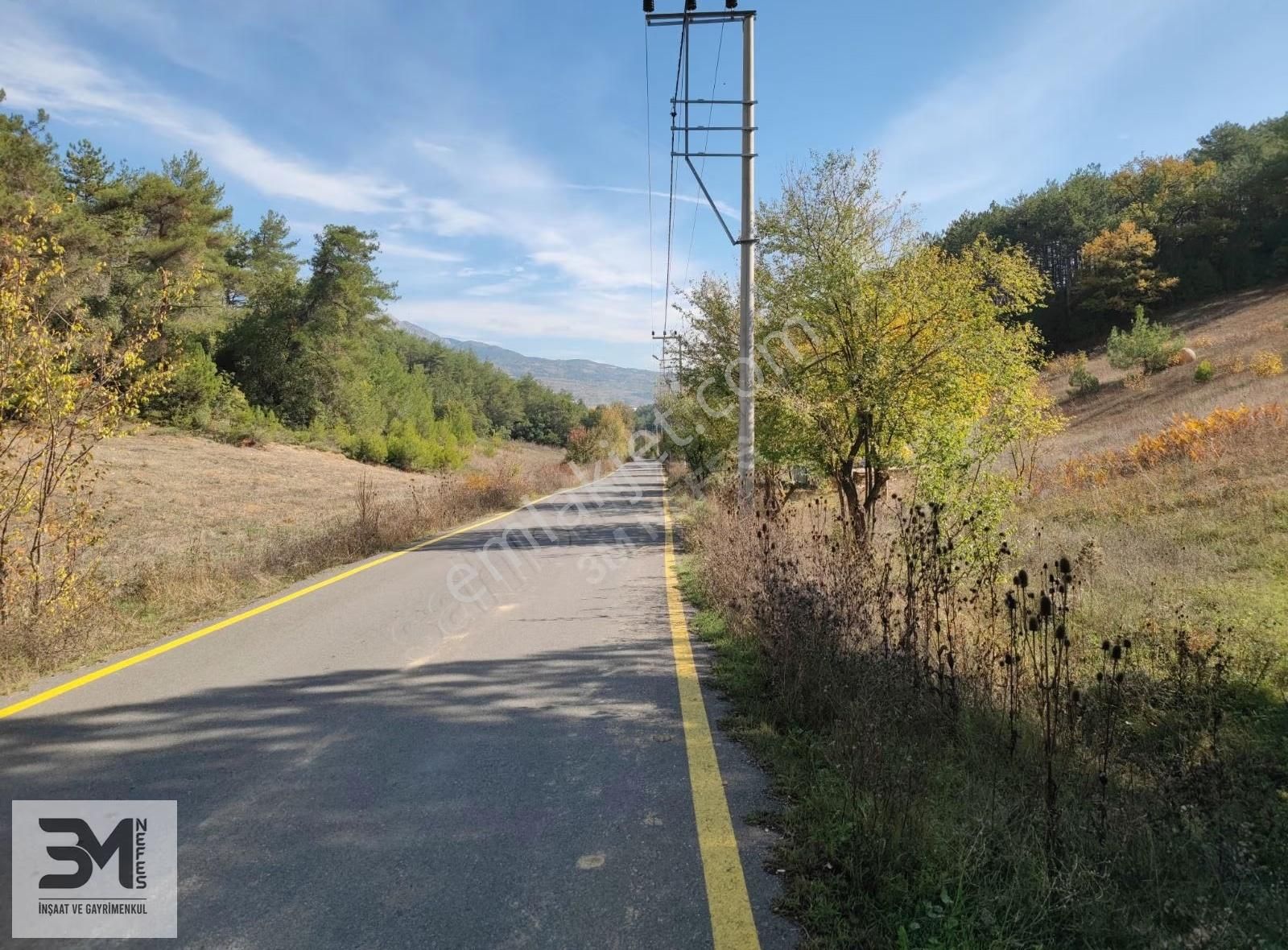 Sakarya Geyve 2857m2 Asfalta Cephe Karışık Meyve Bahçesi Fırsat - Görsel 26