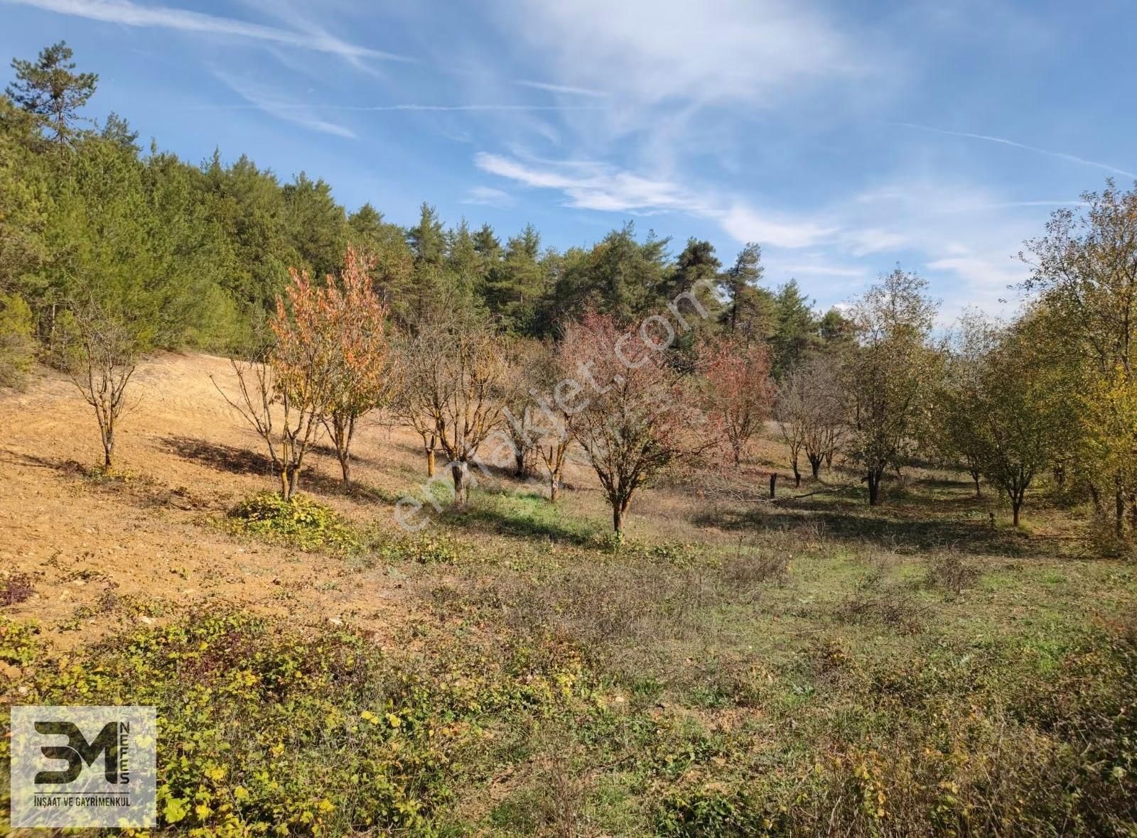 Sakarya Geyve 2857m2 Asfalta Cephe Karışık Meyve Bahçesi Fırsat - Görsel 29