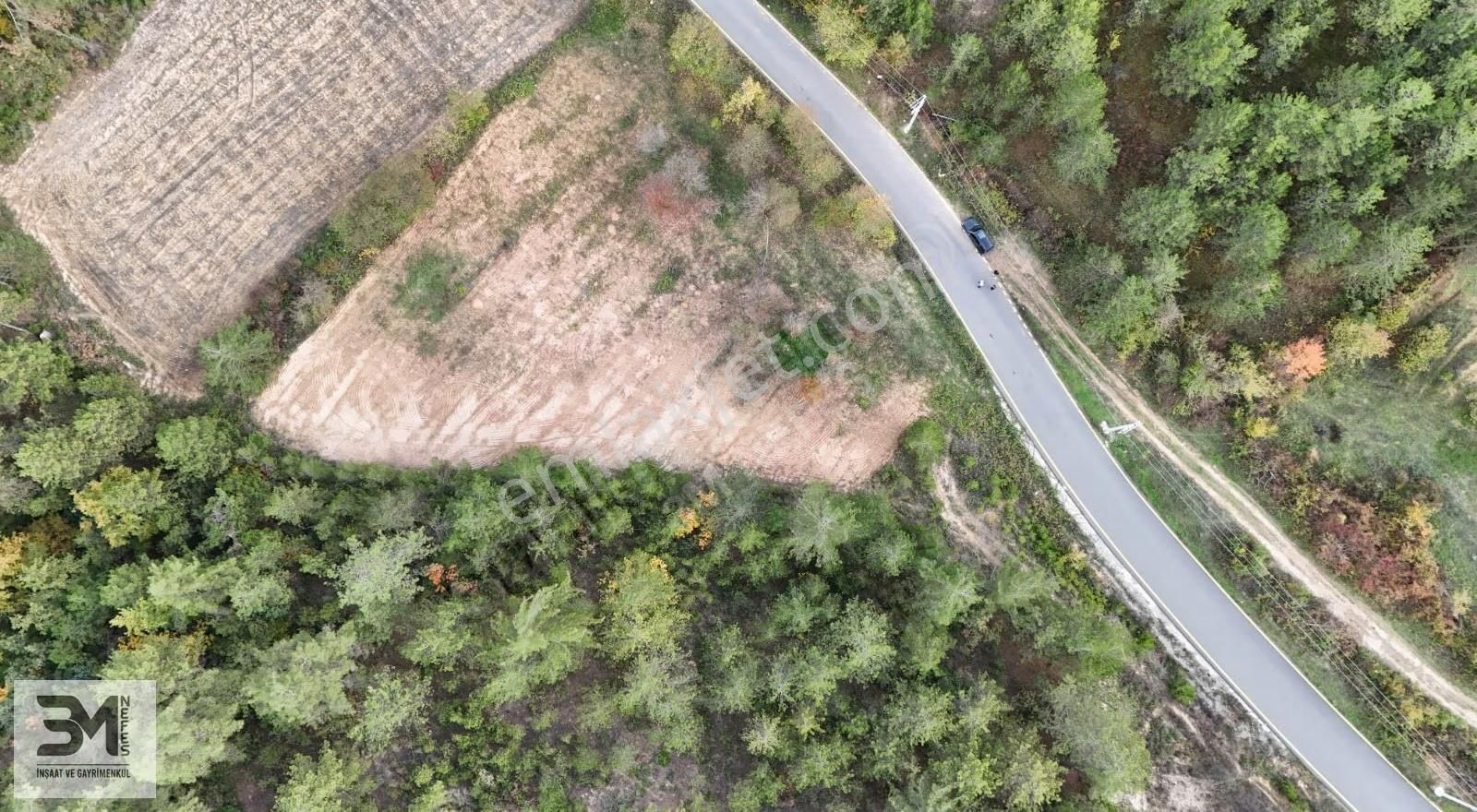 Sakarya Geyve 2857m2 Asfalta Cephe Karışık Meyve Bahçesi Fırsat - Görsel 34