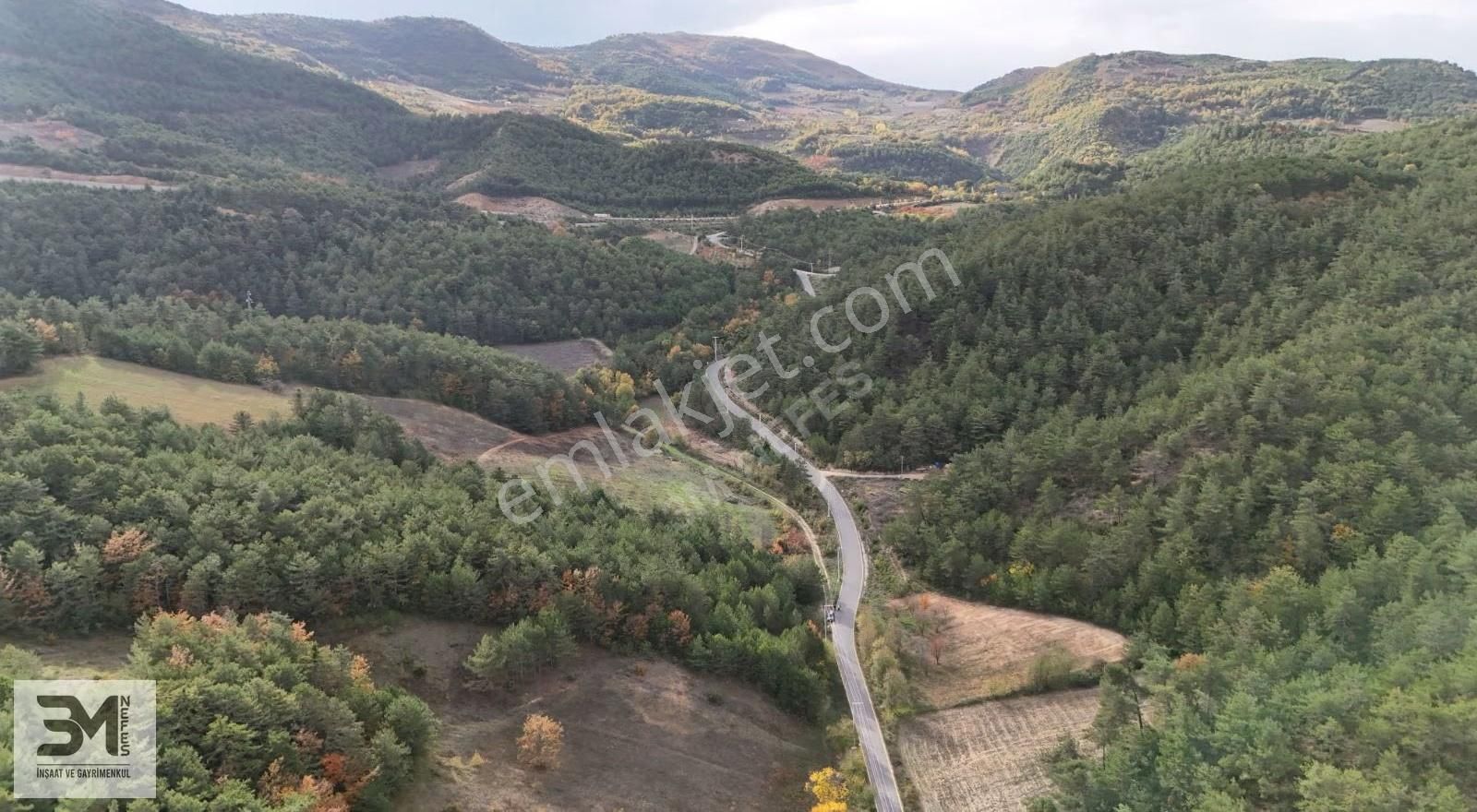 Sakarya Geyve 2857m2 Asfalta Cephe Karışık Meyve Bahçesi Fırsat - Görsel 25