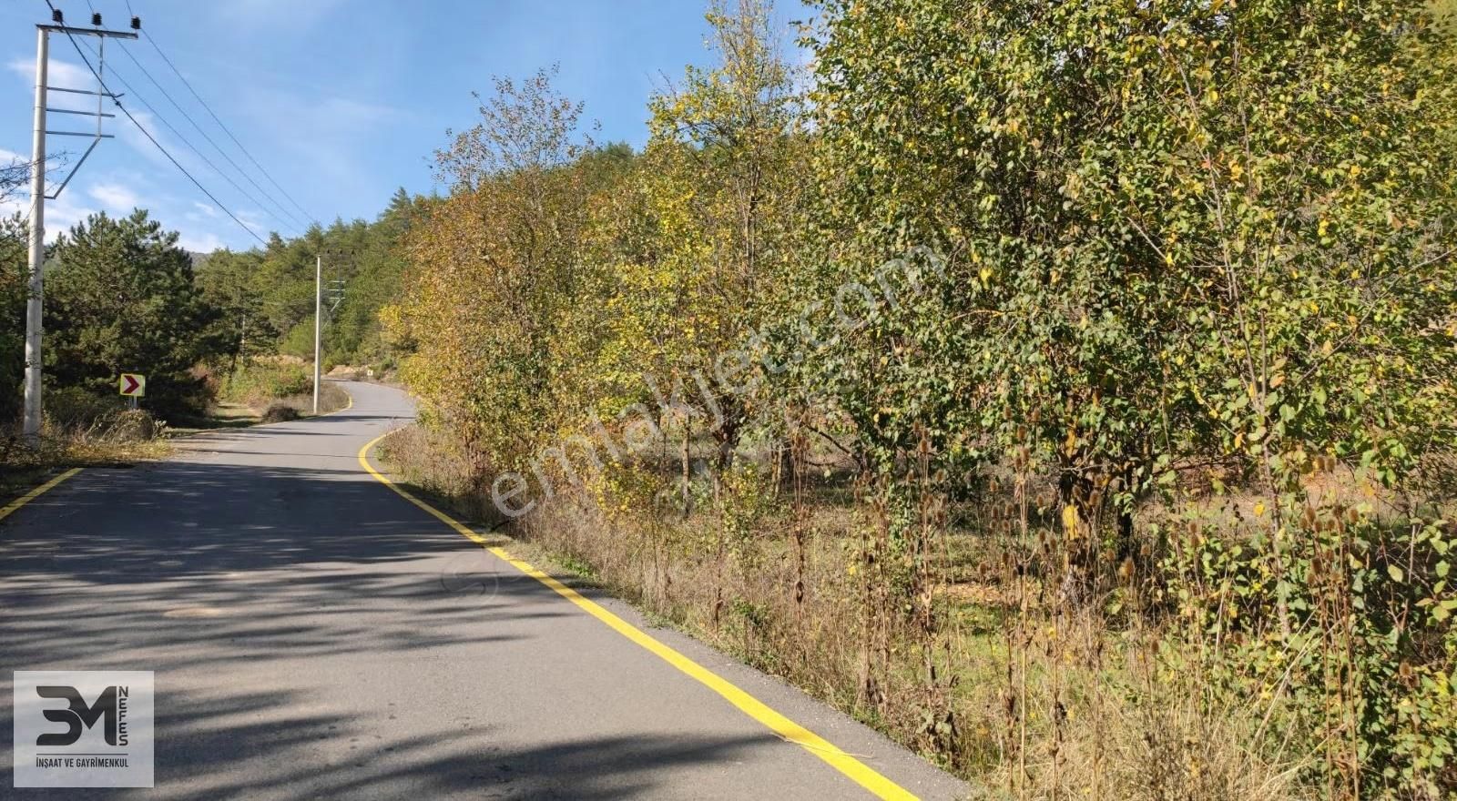 Sakarya Geyve 2857m2 Asfalta Cephe Karışık Meyve Bahçesi Fırsat - Görsel 13