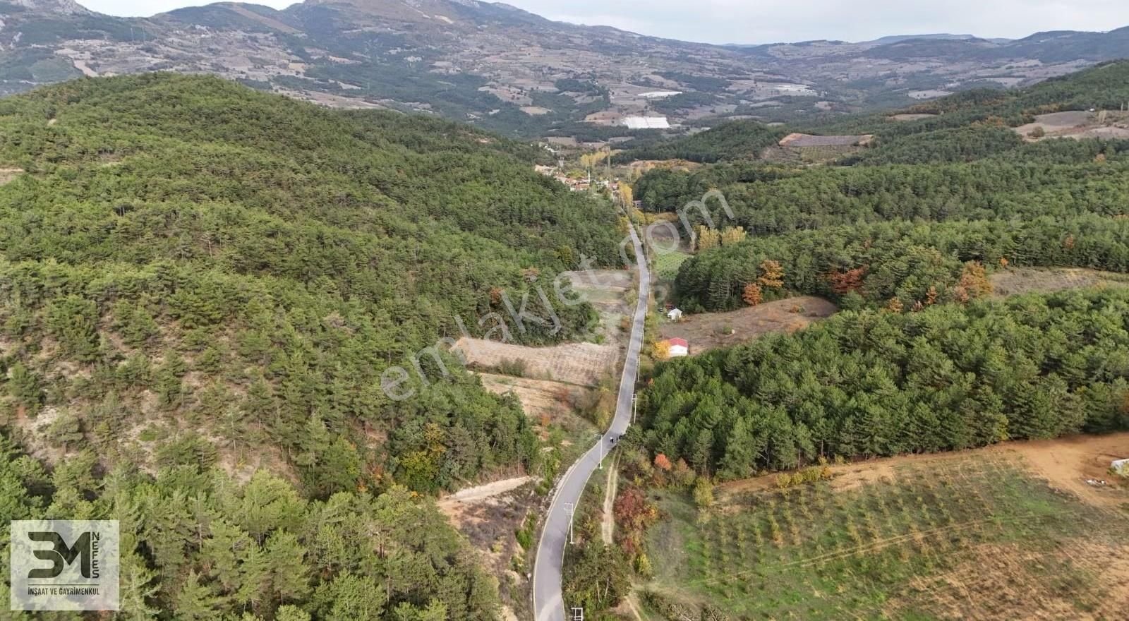 Sakarya Geyve 2857m2 Asfalta Cephe Karışık Meyve Bahçesi Fırsat - Görsel 32