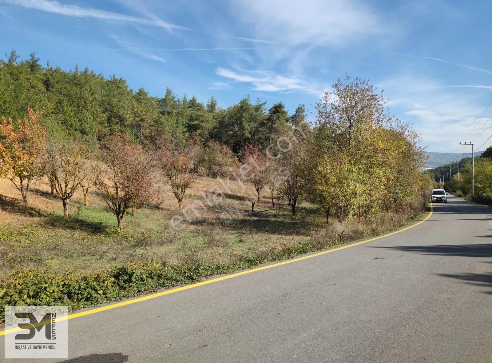 Sakarya Geyve 2857m2 Asfalta Cephe Karışık Meyve Bahçesi Fırsat - Görsel 5