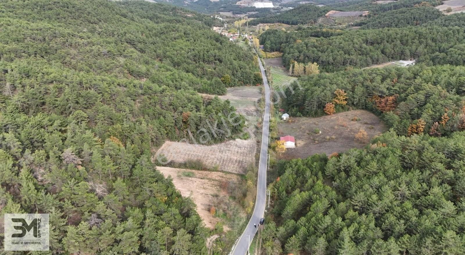 Sakarya Geyve 2857m2 Asfalta Cephe Karışık Meyve Bahçesi Fırsat - Görsel 20