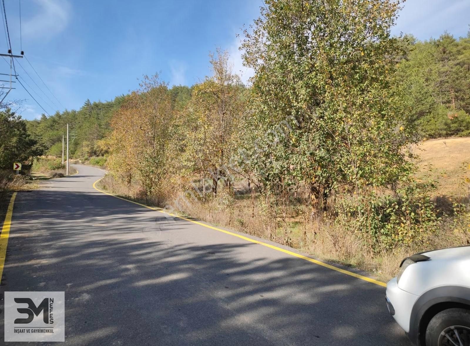 Sakarya Geyve 2857m2 Asfalta Cephe Karışık Meyve Bahçesi Fırsat - Görsel 4