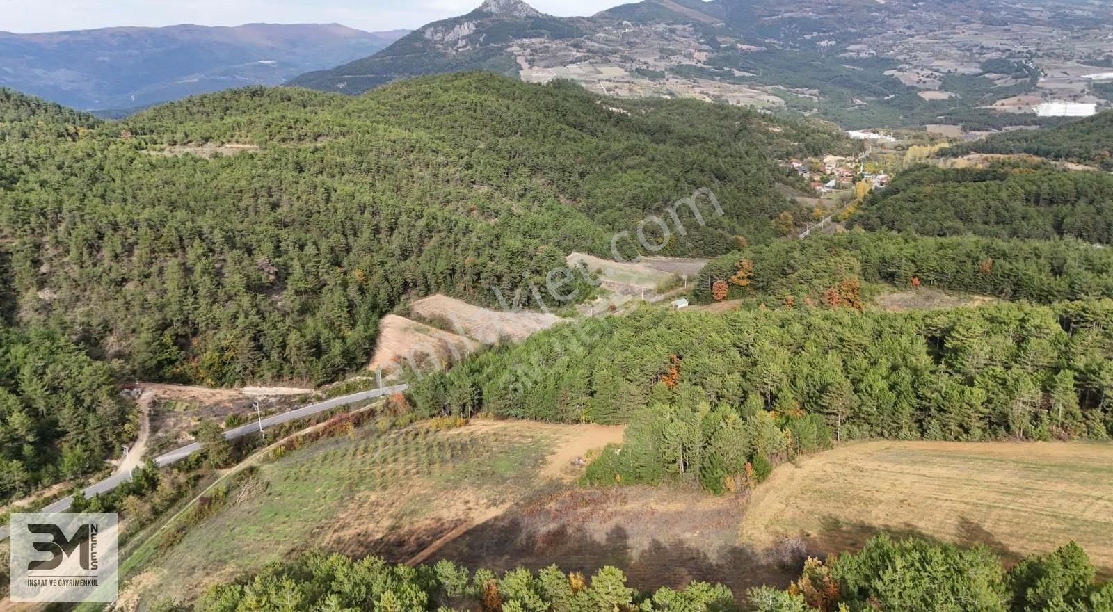 Sakarya Geyve 2857m2 Asfalta Cephe Karışık Meyve Bahçesi Fırsat - Görsel 10