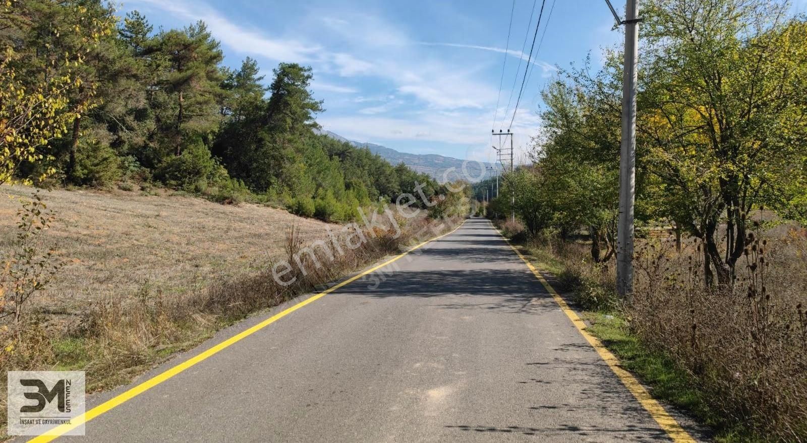 Sakarya Geyve 2857m2 Asfalta Cephe Karışık Meyve Bahçesi Fırsat - Görsel 35