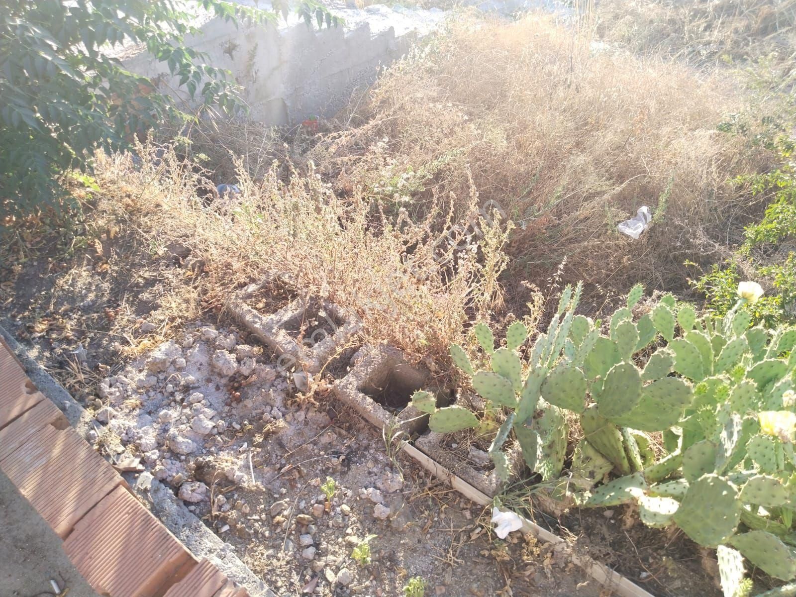 Satılık Köy Evi – Söke Bağarası - Görsel 11