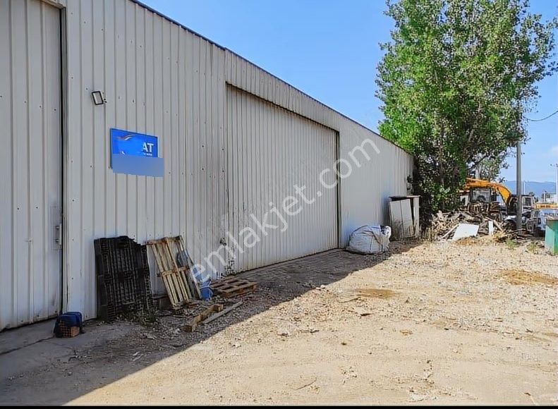 Her İşe Uygun Yüksek Enerjili 240 Metre İşyeri Depo