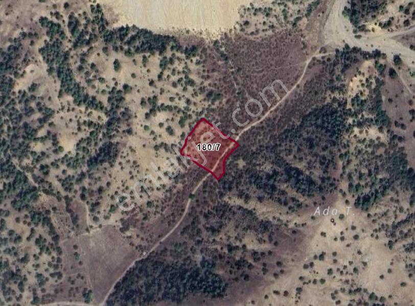 Bilecik Söğüt Tuzaklı Köyünde 3.567 M² Bahçe Satılıktır