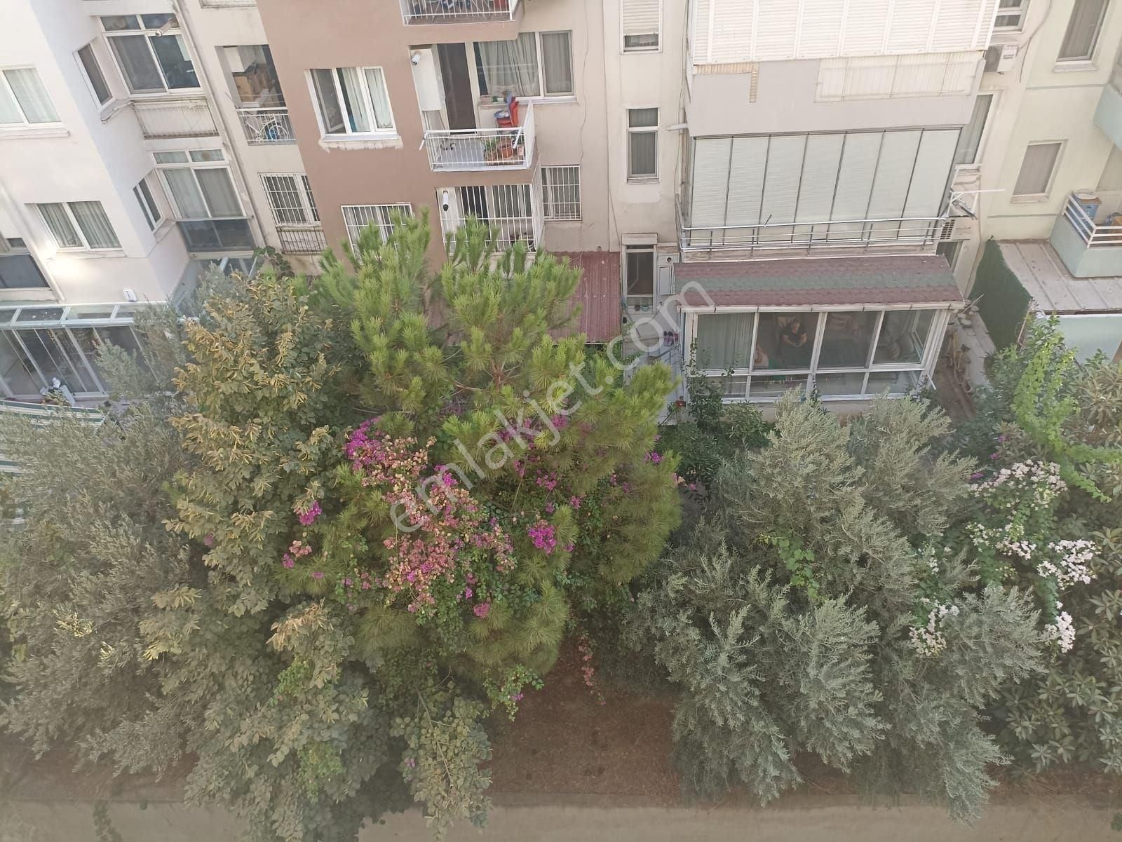 Üçkuyular’da Asansörlü, 3+1, Geniş Ve Kullanışlı Daire - Görsel 20