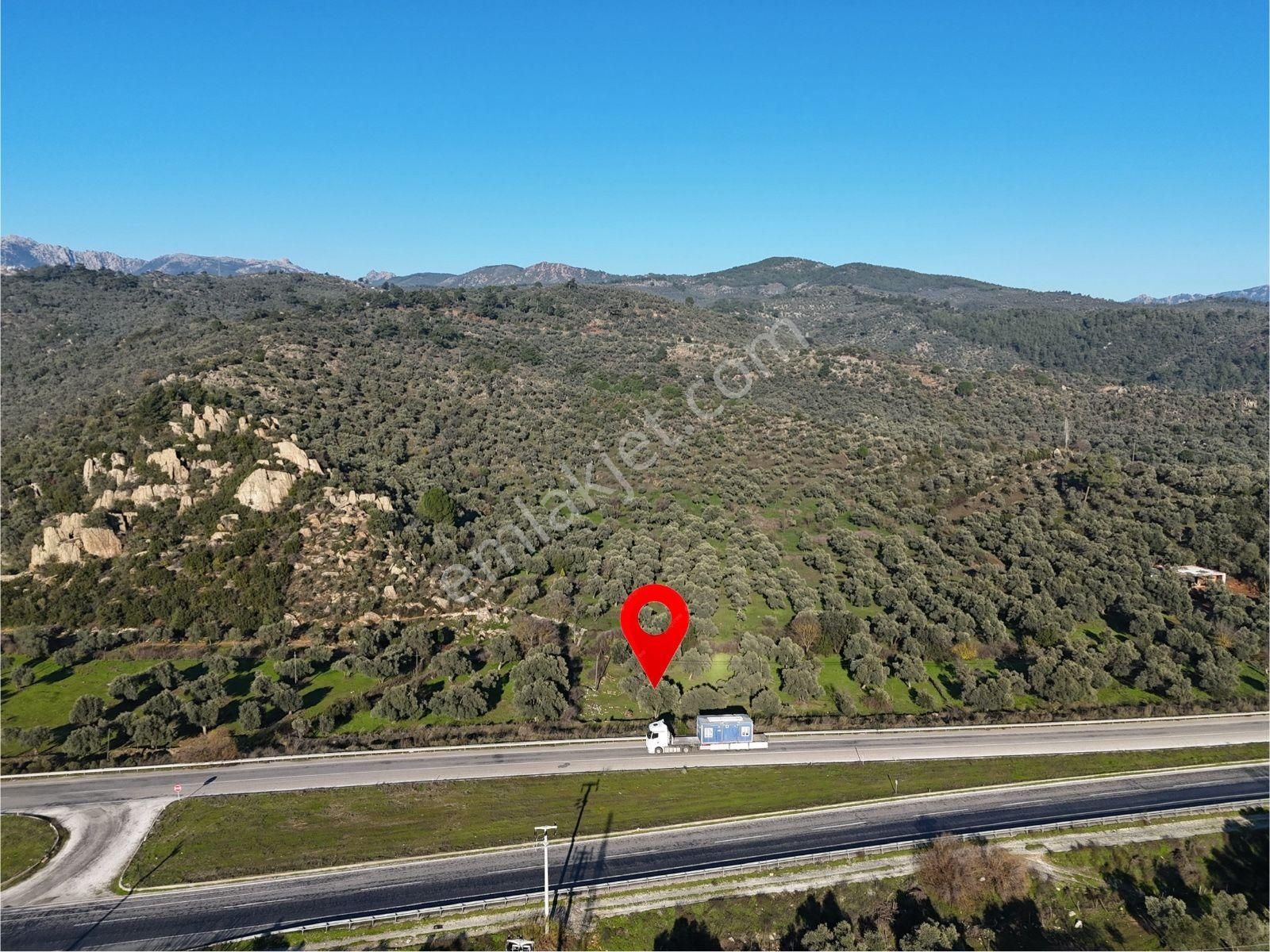 Milas Danişment’te 467m² Zeytinli Tarla, Yola Sıfır Yatırım Fırsatı - Görsel 17