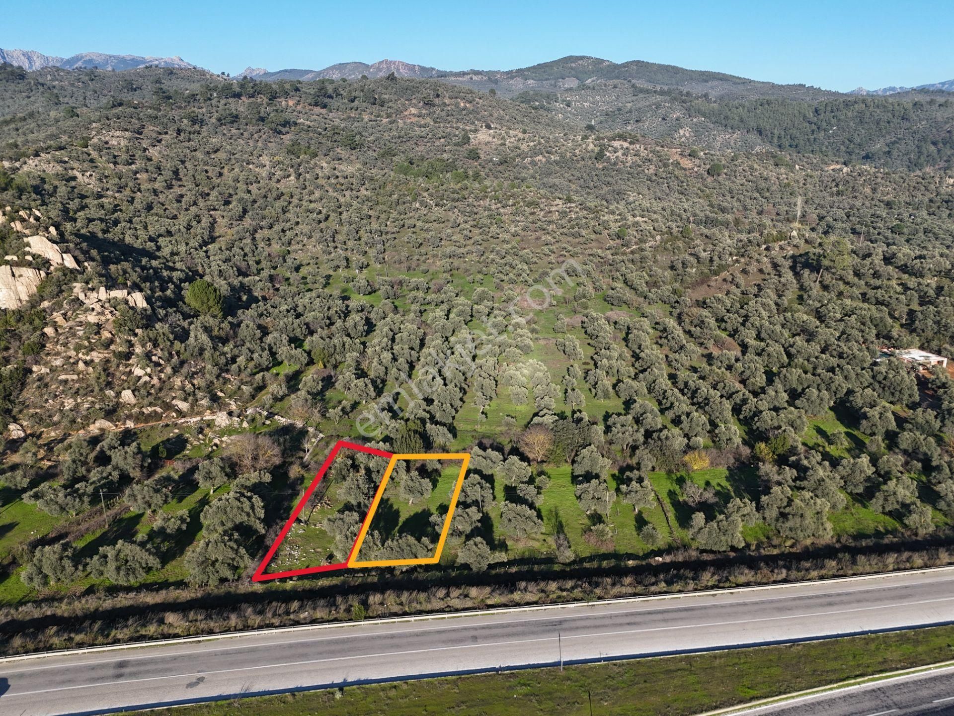 Milas Danişment’te 467m² Zeytinli Tarla, Yola Sıfır Yatırım Fırsatı - Görsel 9