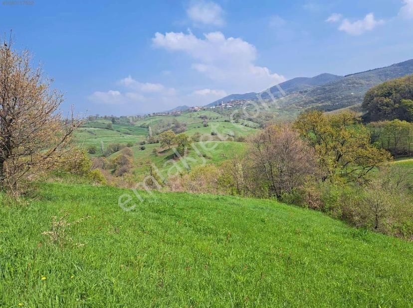 Sazoba Köyünde - Görsel 6