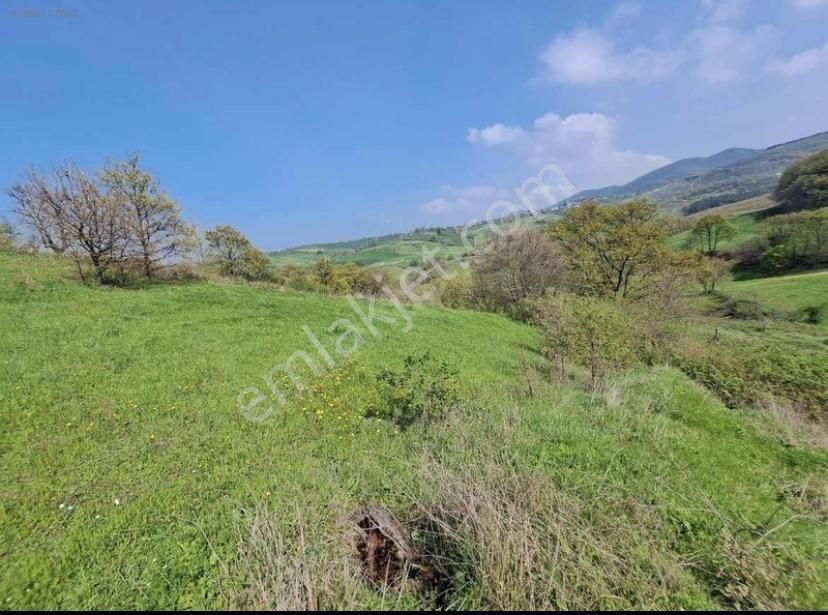 Sazoba Köyünde - Görsel 8