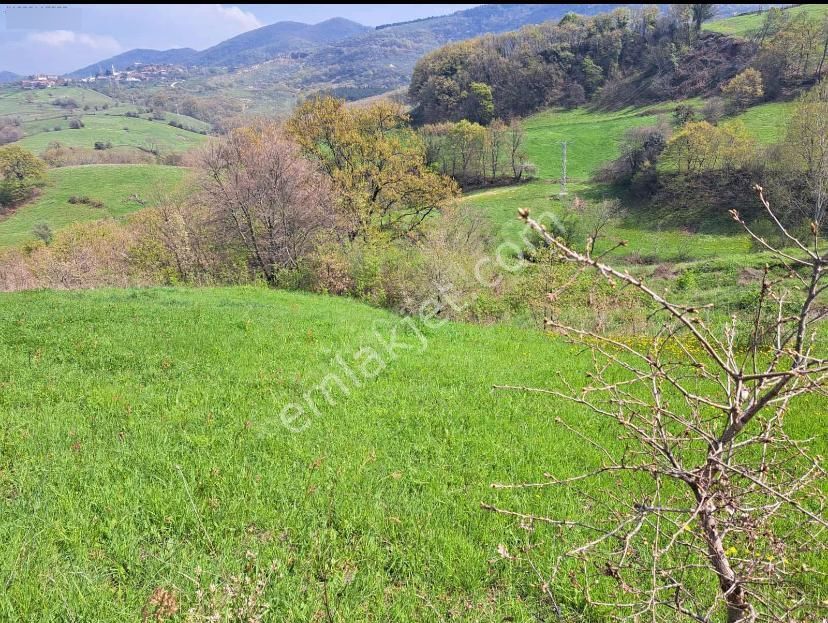 Sazoba Köyünde - Görsel 3