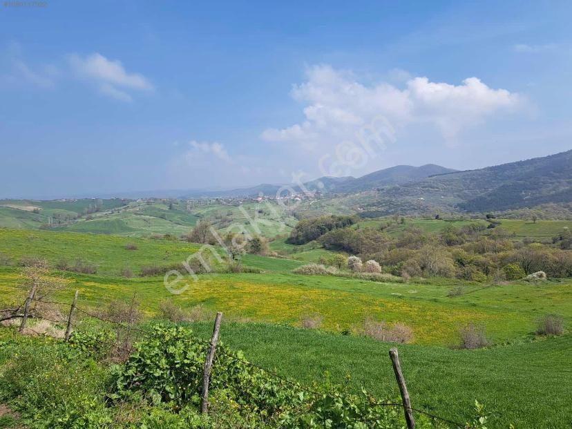 Sazoba Köyünde - Görsel 7